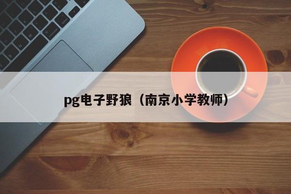 pg电子野狼(南京小学教师)